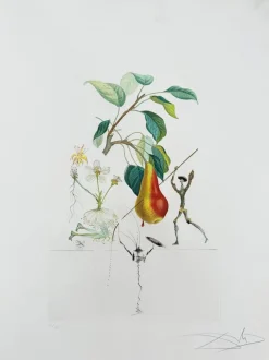 Outlet Pamono Salvador Dali, Don Quixote Pear from Flordali Suite, 1969, Lithograph with Drypoint Etching