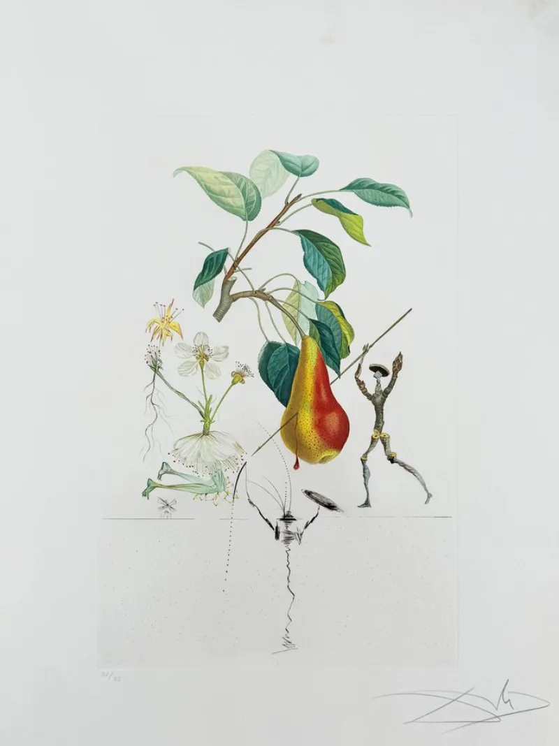 Outlet Pamono Salvador Dali, Don Quixote Pear from Flordali Suite, 1969, Lithograph with Drypoint Etching