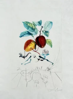 Pamono Salvador Dali, Dragon Apple from Flordali Suite, 1969, Lithograph with Drypoint Etching> Surrealist|Prints & Multiples