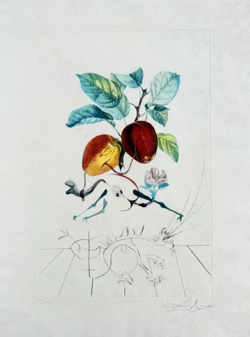 Pamono Salvador Dali, Dragon Apple from Flordali Suite, 1969, Lithograph with Drypoint Etching> Surrealist|Prints & Multiples