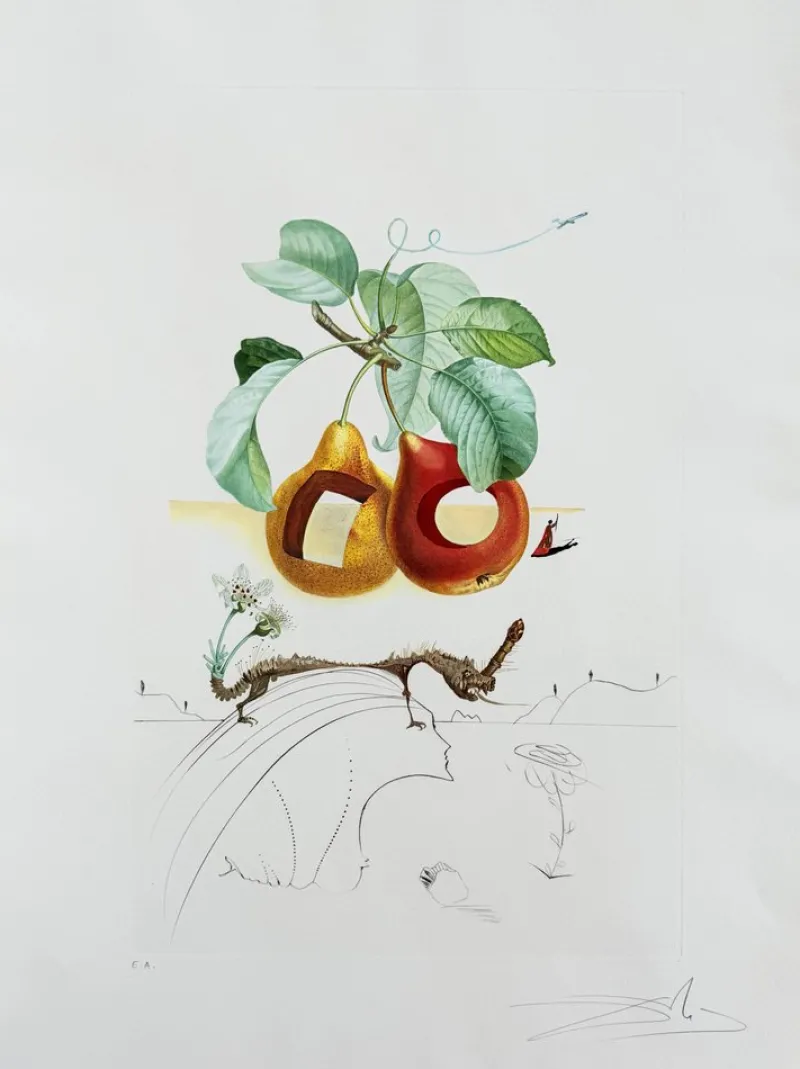 Pamono Salvador Dali, Holed Fruit from Flordali Suite, 1969, Lithograph with Drypoint Etching> Surrealist|Prints & Multiples