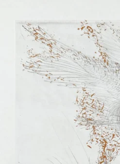 Pamono Salvador Dali, Le Démon ailé, 1969, Etching> Surrealist|Prints & Multiples