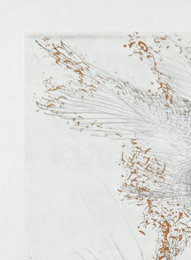 Pamono Salvador Dali, Le Démon ailé, 1969, Etching> Surrealist|Prints & Multiples