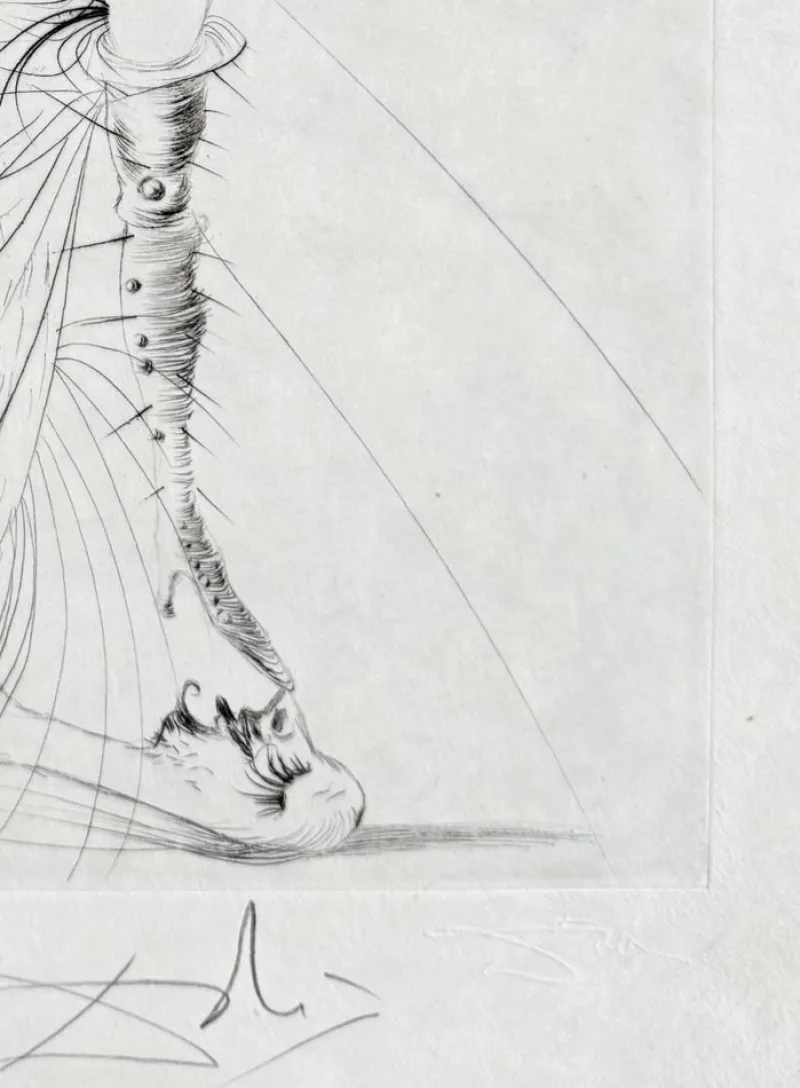 Pamono Salvador Dali, Les Aigrettes, 1969, Etching> Surrealist|Prints & Multiples
