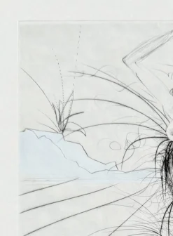 Pamono Salvador Dali, Les Aigrettes, 1969, Etching> Surrealist|Prints & Multiples