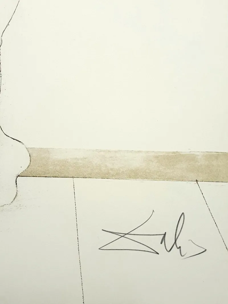 Pamono Salvador Dali, Nude At the Window, 1970, Lithograph> Decorative Objects