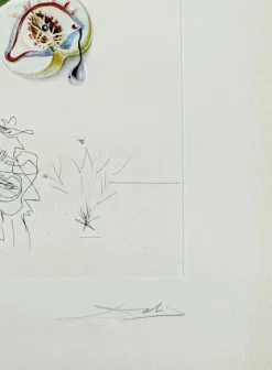 Pamono Salvador Dali, Penitent Peach Tree from Flordali Suite, 1969, Lithograph with Drypoint Etching> Surrealist|Prints & Multiples