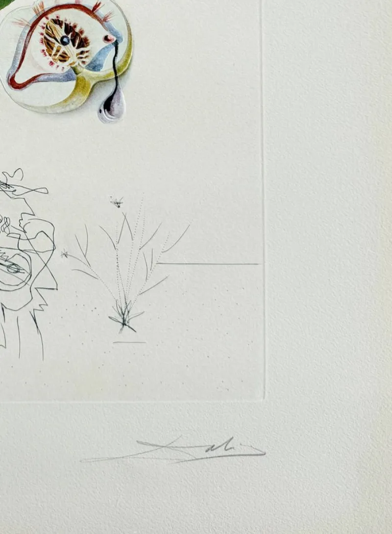 Pamono Salvador Dali, Penitent Peach Tree from Flordali Suite, 1969, Lithograph with Drypoint Etching> Surrealist|Prints & Multiples