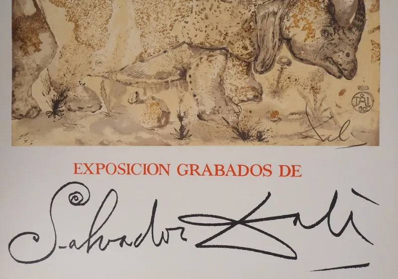 Pamono Salvador Dali, Rhinoceros, Homage to Albrecht Dürer, Lithograph Poster> Posters|Wall Decor