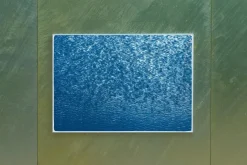 Pamono Serene Cove Waters, 2020, Cyanotype> Minimalist
