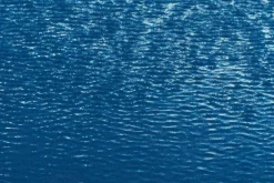 Pamono Serene Cove Waters, 2020, Cyanotype><noscript><img width=