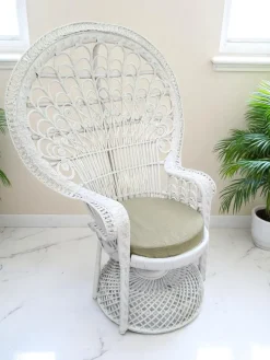 Sale Pamono Set of Mid-Century White Rattan & Wicker Peacock Chair and Ottoman, 1970s
