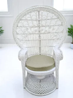 Sale Pamono Set of Mid-Century White Rattan & Wicker Peacock Chair and Ottoman, 1970s