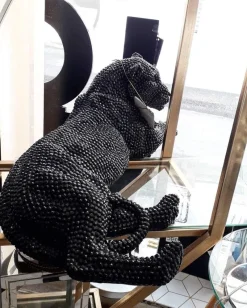 Hot Pamono Shiny Black Lion in Polyresine by Zenza Art & Deco
