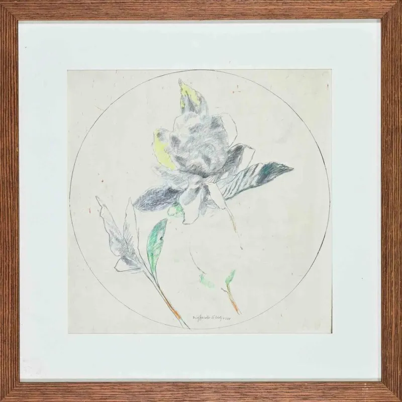 Online Pamono Sigfrido Oliva, Still Life, Pencil and Watercolor, 1978, Framed