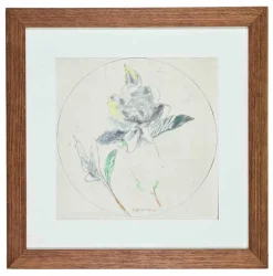 Online Pamono Sigfrido Oliva, Still Life, Pencil and Watercolor, 1978, Framed