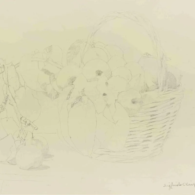 Clearance Pamono Sigfrido Oliva, Still Life, Pencil Drawing, 1980s, Framed