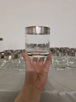Hot Pamono Silver Band Glassware by Dorothy Thorpe Inc., 1960s, Set of 30