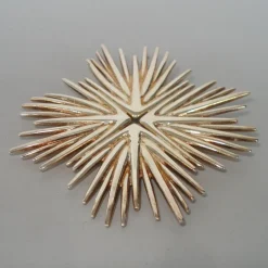Clearance Pamono Silver Brooch Pendant Palmaceae Serie by Michele Oka Doner for Christofle, 2000