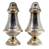 Pamono Silver Salt and Pepper Shakers with Engravings, Set of 2> Salt & Pepper Shakers