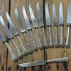 Sale Pamono Silver-Plated Metal Knives with Steel Blades, Early 20th Century, Set of 12