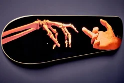 Discount Pamono Skateboard Deck by Original in Berlin