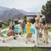 New Pamono Slim Aarons, Palm Springs Party, Estate Stamped Photographic Print, 1970 / 2020s