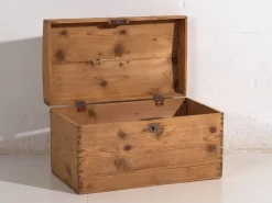 Pamono Small Antique Chest, 1920s