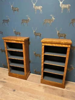 Best Pamono Small Antique Open Bookcases, 1890s, Set of 2