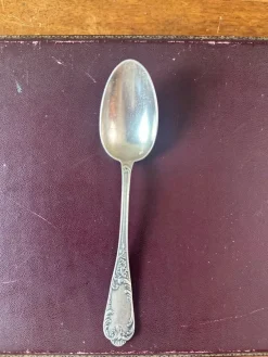 Clearance Pamono Small Antique Spoons, 1900, Set of 12