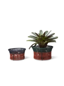 Discount Pamono Small Caribe Chic Basket 3 by Sebastian Herkner