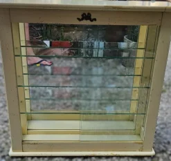Discount Pamono Small French Wall-Mounted Display Case in Painted Wood, 1920s
