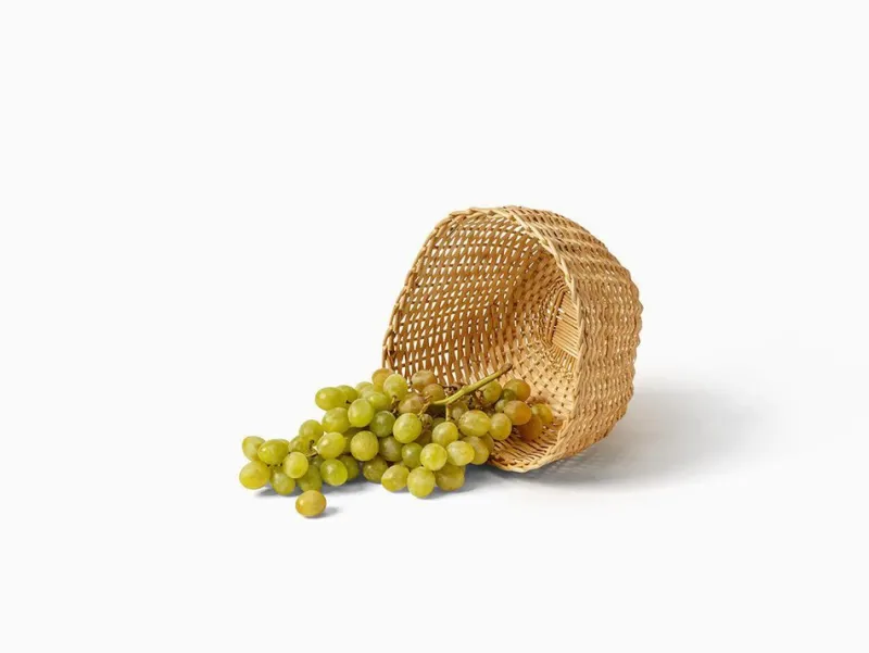 New Pamono Small Furna Basket by Eneida Lombe Tavares & João Xará