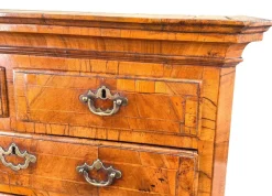 Outlet Pamono Small Georgian Walnut Tallboy, 1720
