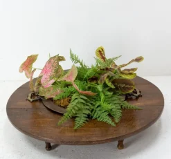 Pamono Spanish Basque Oak & Copper Brazier or Planter, 19th Century><noscript><img width=