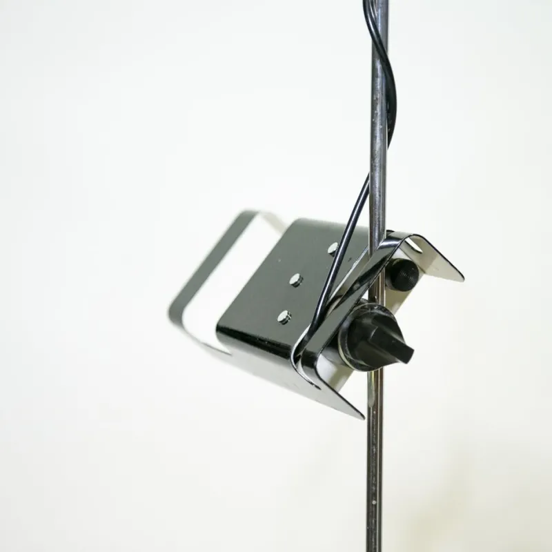 Online Pamono Spider Floor Lamp by Joe Colombo for Oluce, 1970s