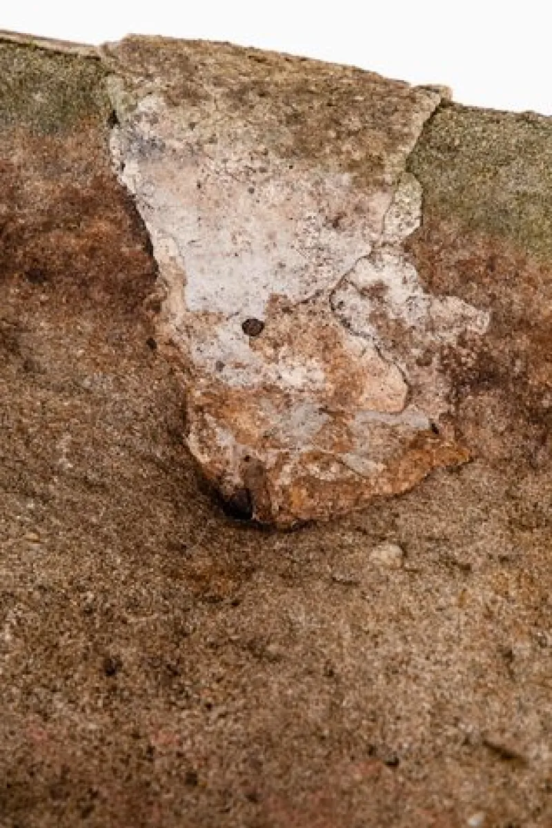 Pamono Square Sandstone Trough> Garden Accessories