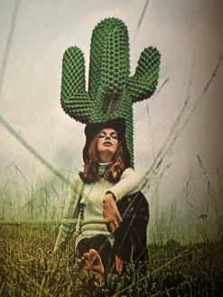 Pamono 1st Edition Cactus Coat Rack attributed to Guido Drocco & Franco Mello for Gufram, 1960s