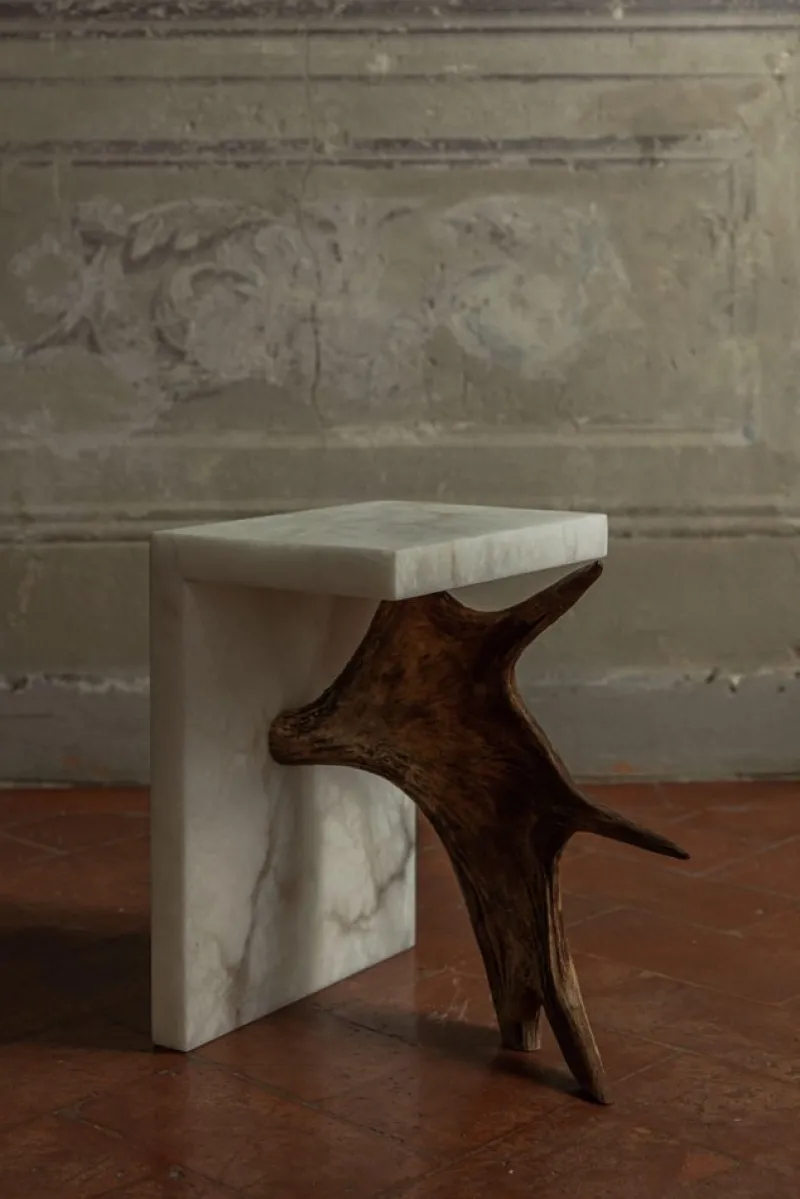 Pamono Stag T Table by Rick Owens> Tables