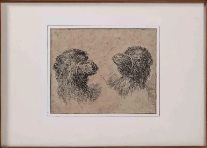 Outlet Pamono Stefano Della Bella, Camel Study, Original Etching, 1640s, Framed