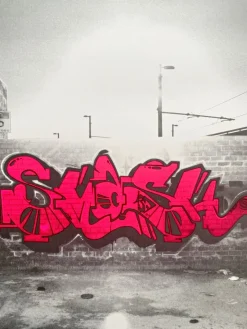 Pamono Street Art Silkscreen Print by Smash 137