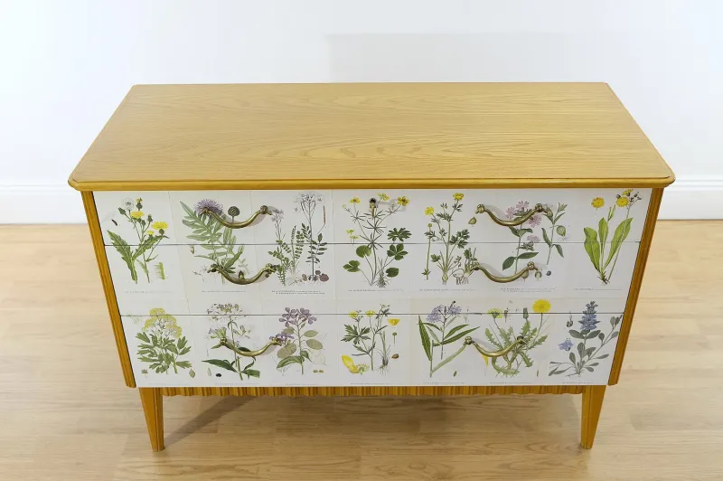 Pamono Swedish Modern Dresser with Nordens Flora Illustrations by C. A. M. Lindman, 1930s> Dressers, Commodes & Chests