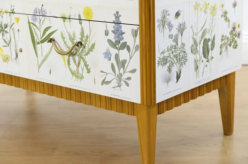 Pamono Swedish Modern Dresser with Nordens Flora Illustrations by C. A. M. Lindman, 1930s> Dressers, Commodes & Chests