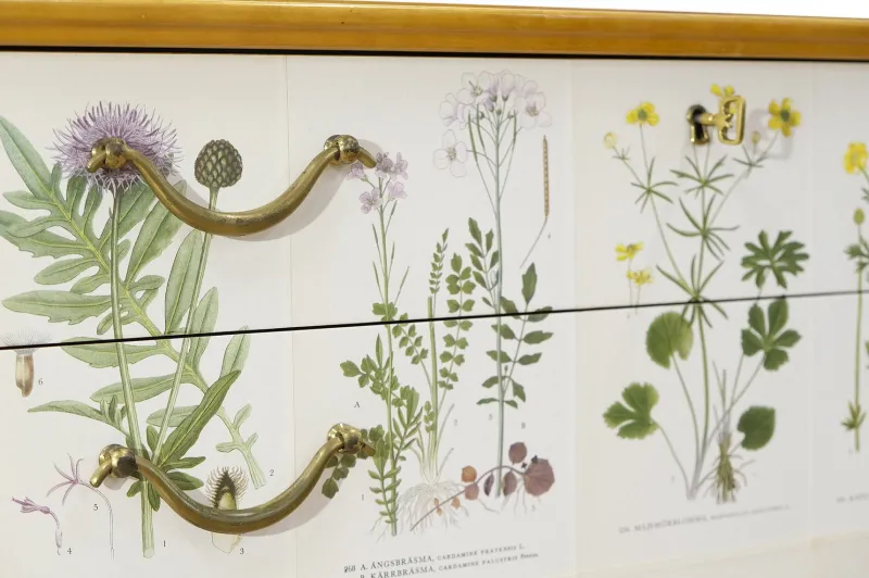 Pamono Swedish Modern Dresser with Nordens Flora Illustrations by C. A. M. Lindman, 1930s> Dressers, Commodes & Chests