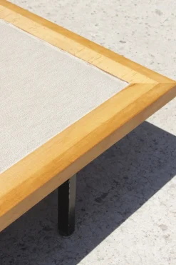 New Pamono Swiss DW1 Daybed by Dieter Waeckerlin for Idealheim, 1957