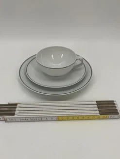 Sale Pamono Tac Tea Service in Platinum by Walter Gropius for Rosenthal, Set of 25