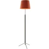 Best Pamono Terracotta and Chrome Pie De Salón G3 Floor Lamp by Jaume Sans