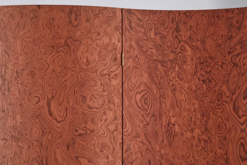 Discount Pamono Terracotta Elm Burl Veneer Room Divider by Daniel Nikolovski & Danu Chirinciuc for KABINET, 2019