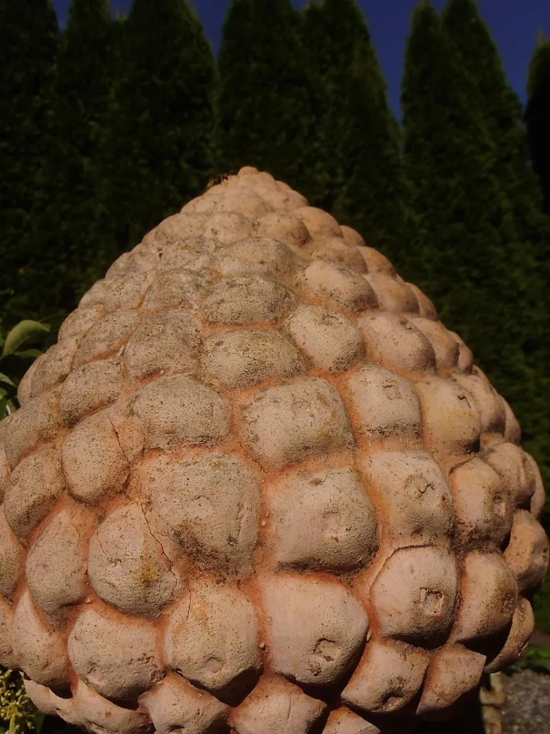 Pamono Terracotta Pinecone Garden Sculptures, 1980s, Set of 2> Garden Accessories