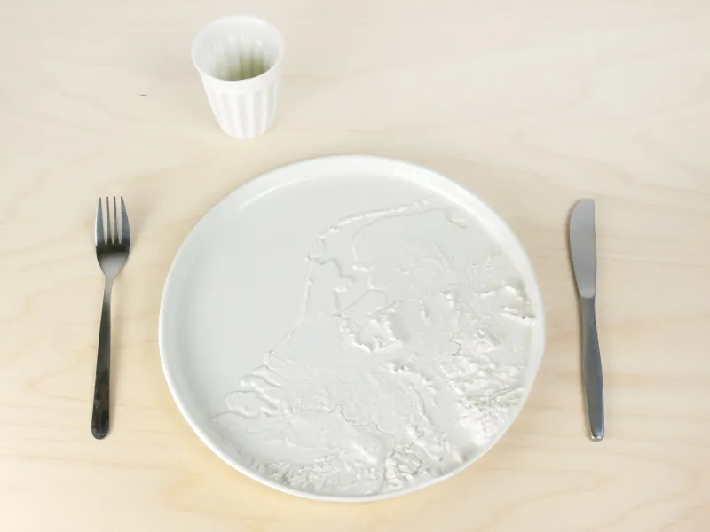 Pamono Terrain Plate from Studio Lorier> Decorative Plates